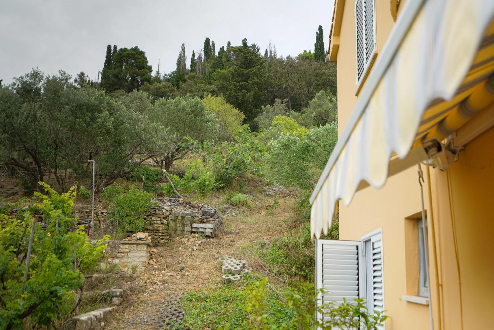 Apartments Osljak Preko Exterior photo